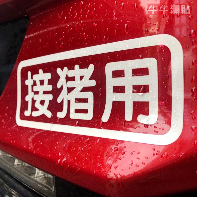 包邮牛牛潮贴个性搞笑猪用车贴纸