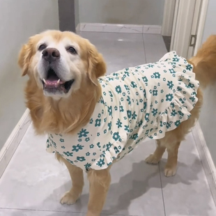 大狗衣服春秋季防掉毛中大型犬金毛哈士奇萨摩耶拉布拉多宠物裙子