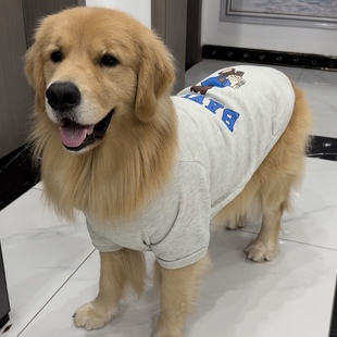 大狗衣服大型犬秋冬保暖防掉毛边牧金毛拉布拉多阿拉斯加宠物卫衣