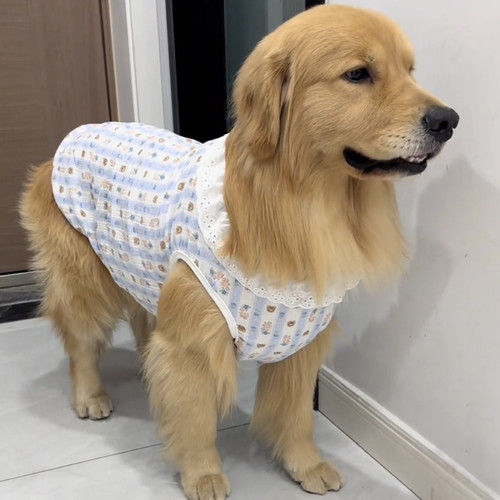 大狗衣服大型犬夏季薄款棉纱金毛拉布拉多柯基边牧宠物背心透气