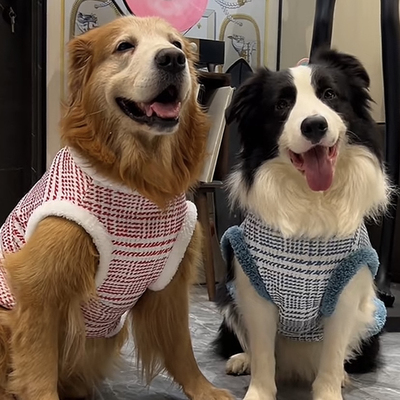 金毛衣服冬天加厚保暖小香风大狗哈士奇萨摩耶宠物衣服中大型犬