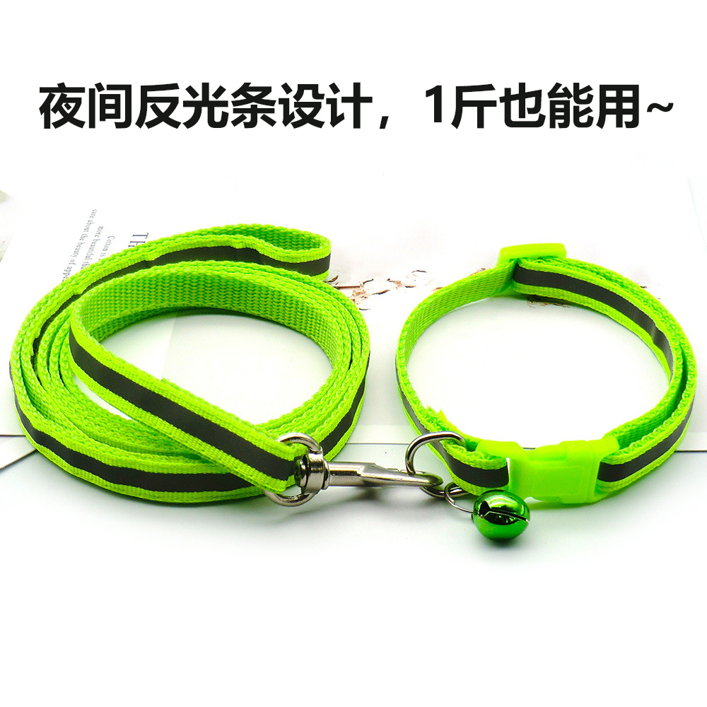 反光项圈加牵引绳1斤也能用