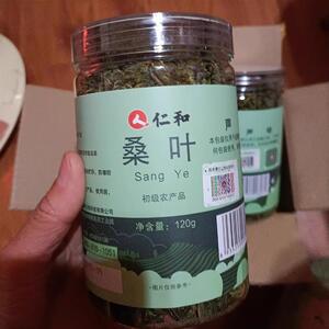 -霜后桑叶茶特级新货桑葚叶子正宗桑树叶120g罐装搭蒲公