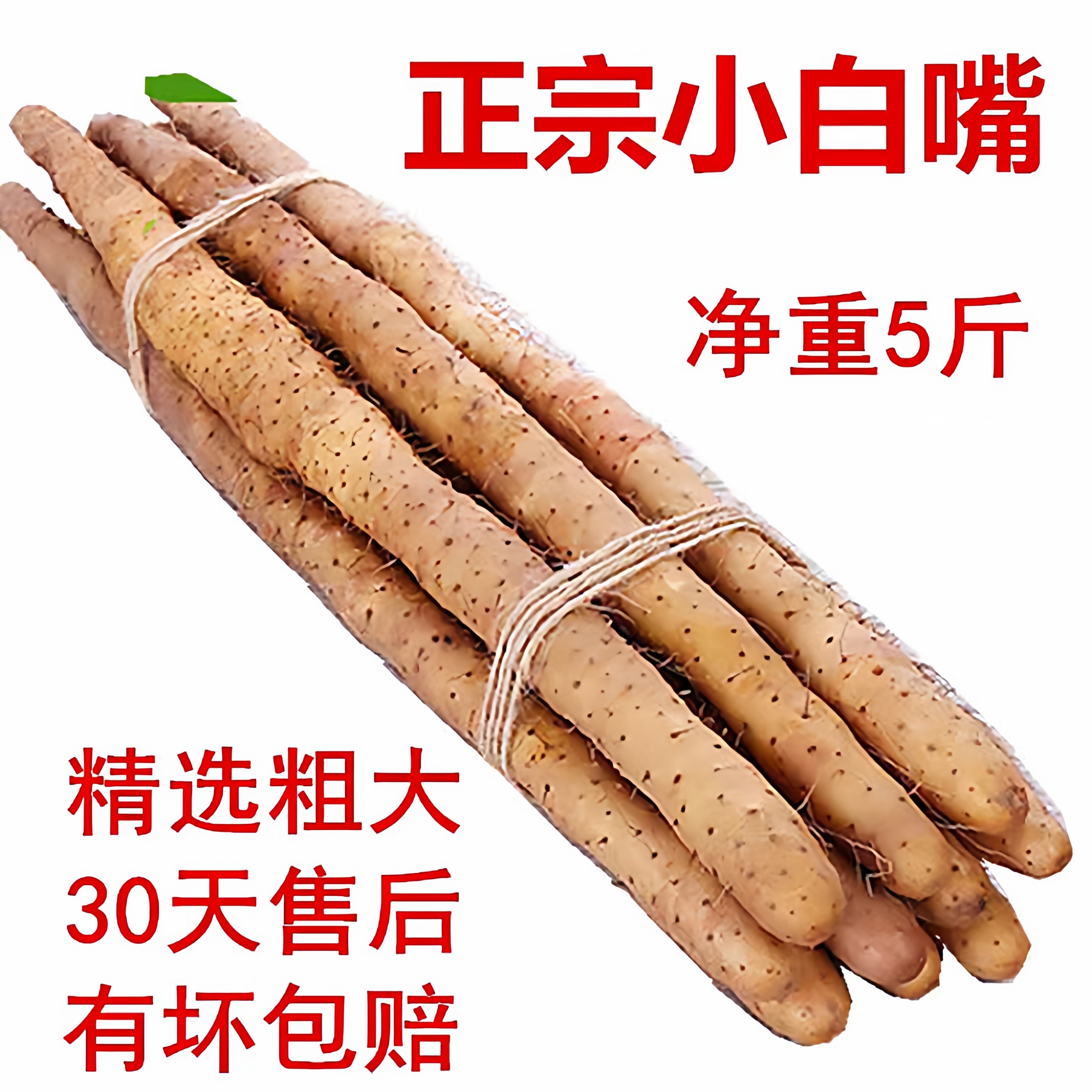 入口即化正宗小白嘴山药粉糯香甜