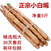 正宗小白嘴山药比垆土铁棍 铁杆淮山药好吃新鲜现挖山约实惠5斤装