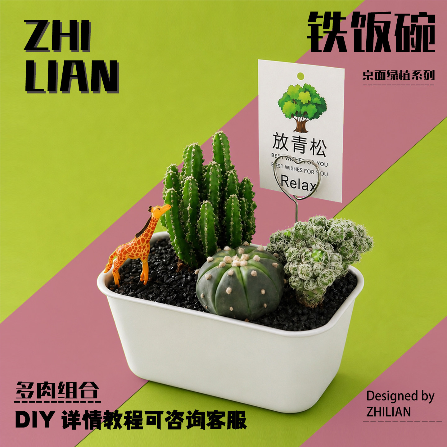 铁饭碗仙人掌多肉植物创意DIY小盆栽生日毕业礼物办公室绿植礼品