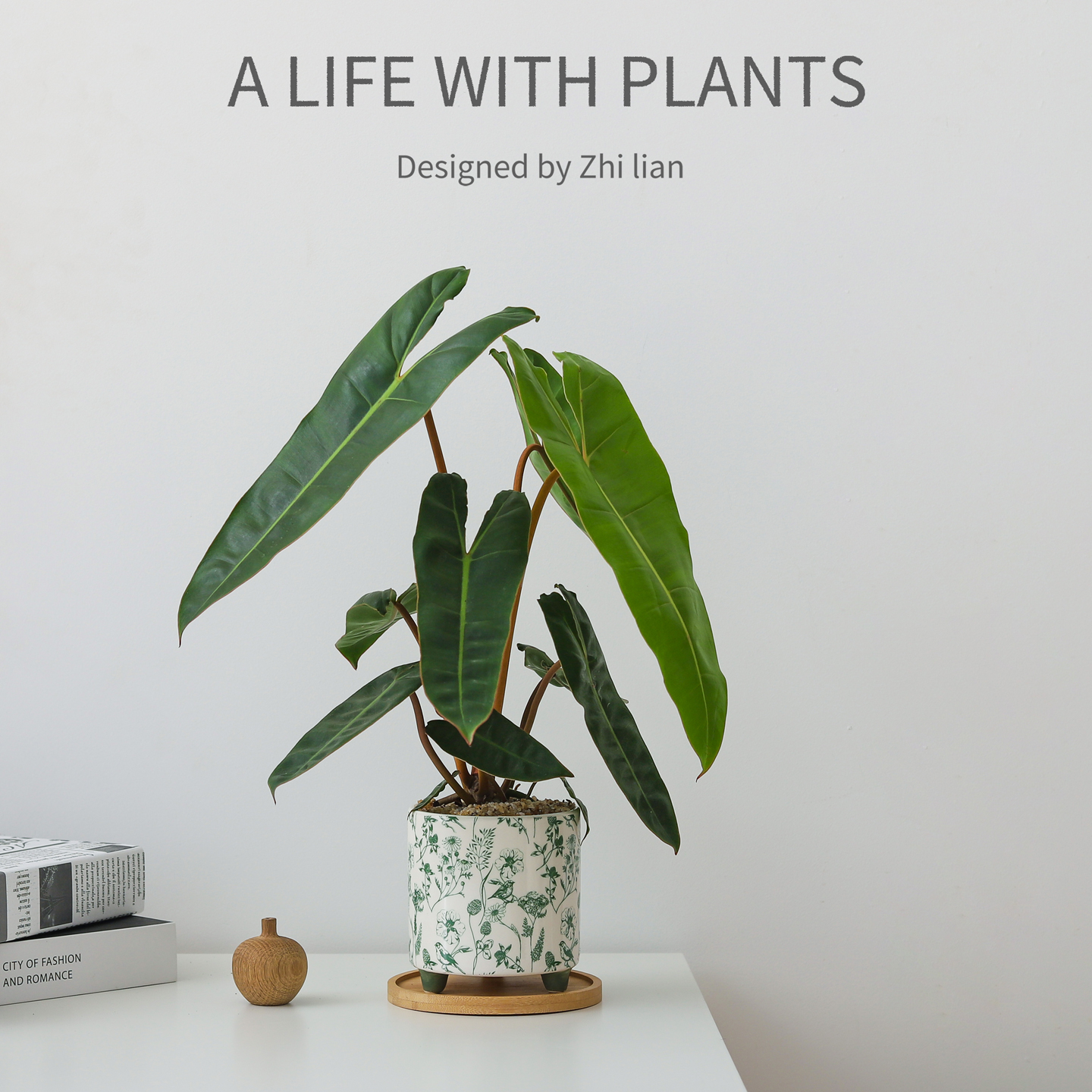 橙柄蔓绿绒盆栽室内植物办公室桌面懒人好养绿植净化空气花卉盆景