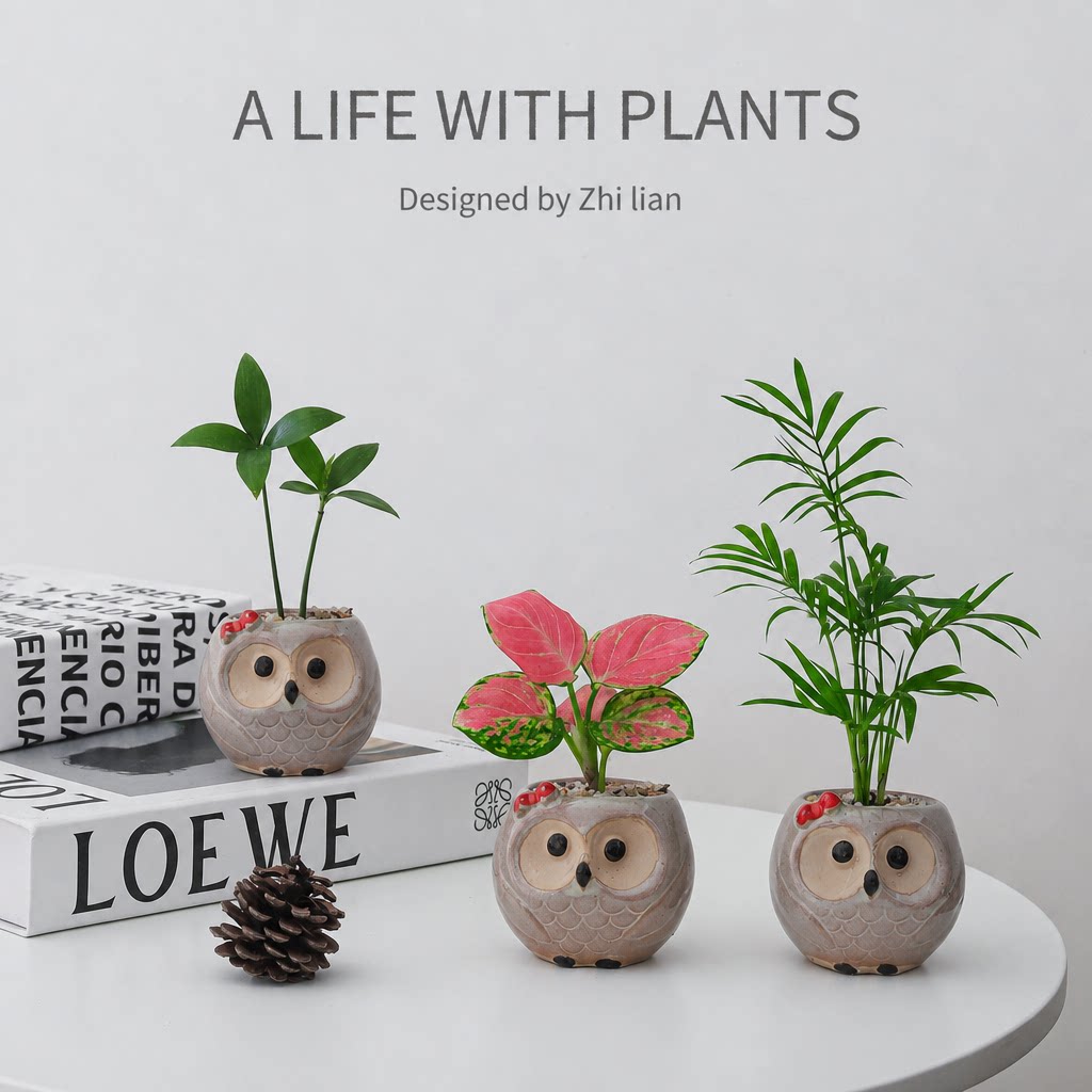 竹柏情绪稳定小盆栽吉利红办公室内桌面绿植物袖珍椰子散尾葵好养