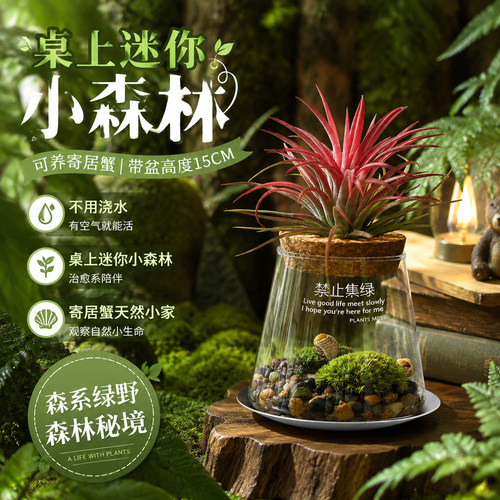 清冷小众软装，吊打普通盆栽
