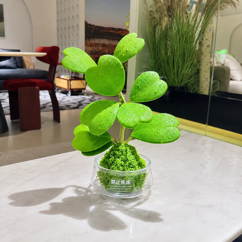 心叶球兰苔藓球多肉植物新手好养活垂吊室内阳台水培绿植桌面摆件