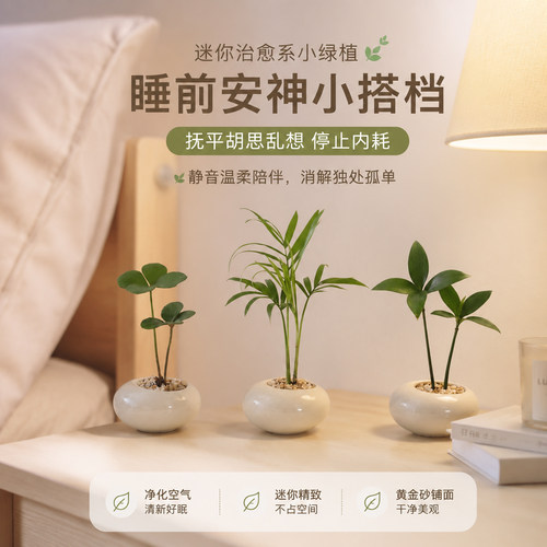 睡前治愈绿意，平复焦虑少内耗