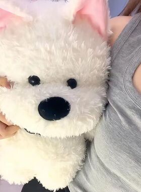 高颜值可爱小狗毛绒玩具公仔治愈安抚西高地狗狗玩偶七夕节礼物女
