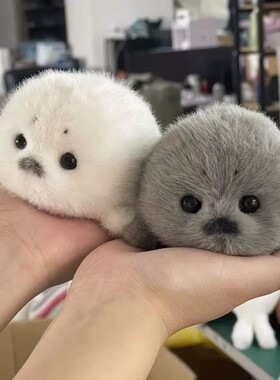 可爱毛绒小海豹宝宝公仔挂件手工海洋守护仿真海洋玩具海豹挂件礼