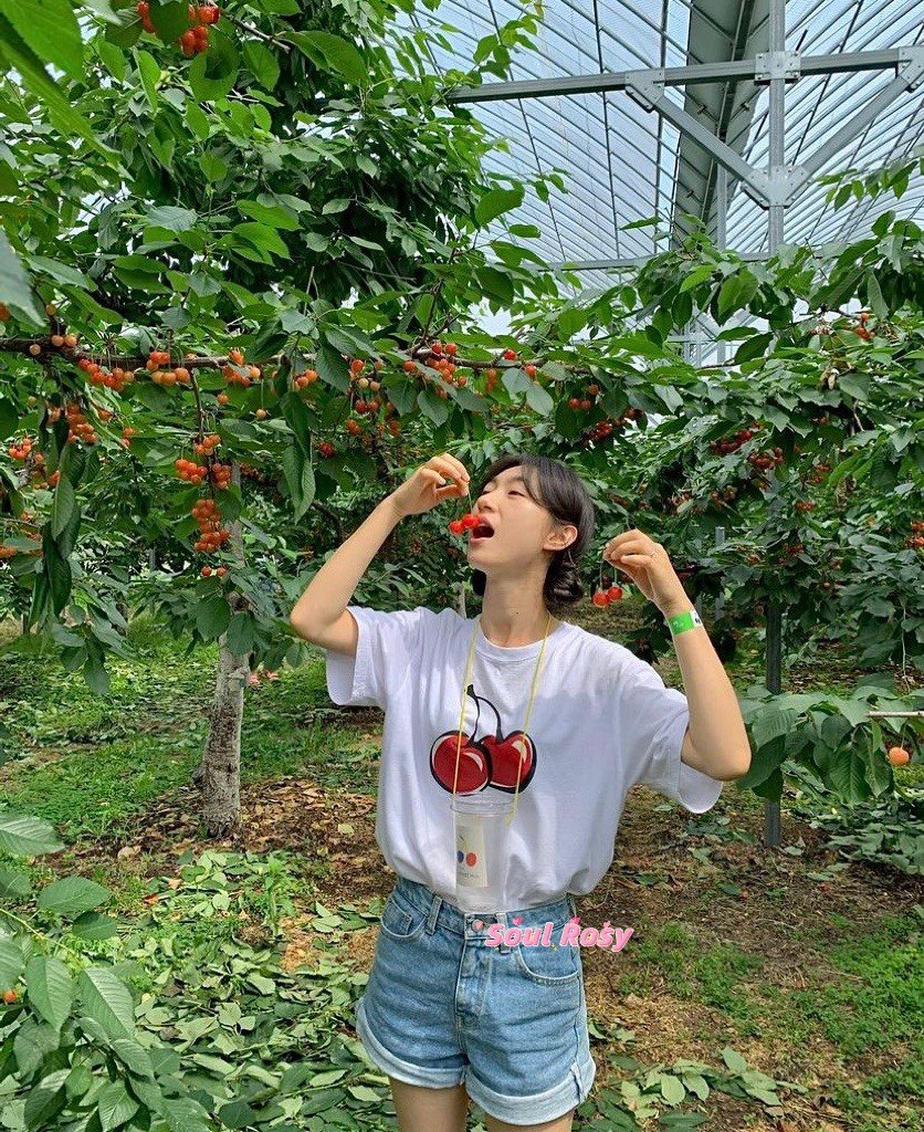 张元英代言 正品韩国小众设计师品牌KIRSH 樱桃短袖 有现货