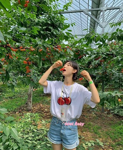 张元英代言 正品韩国小众设计师品牌KIRSH 樱桃短袖 有现货