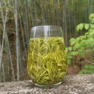 2025年新茶绿茶明前茶头采茶舒城小兰花大别山高山茶农家自产