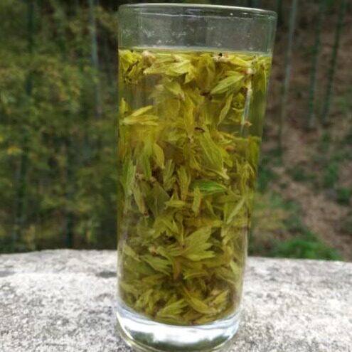 2026年新茶绿茶野茶天然野生茶