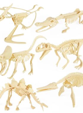 DIY Assembly Jurassic Dinosaur Fossil Skeleton Mosasaurus Ty