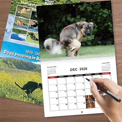 Pooping Dog Calendar 2026 Large Monthly Grid Planning With I