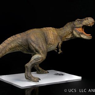 Dino Dream Tyrannosaurus Rex Jurassic Dinosaurs Toys Model C