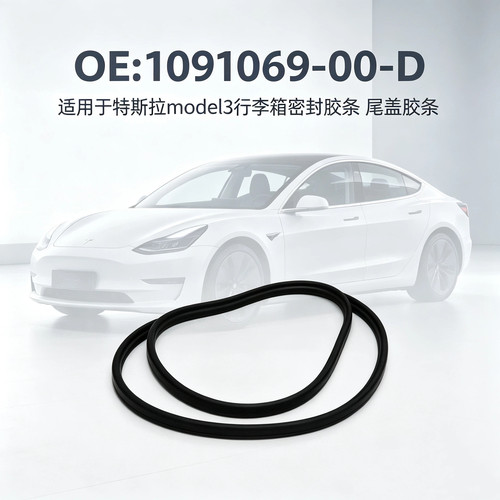 适用特斯拉model31091069-00-D