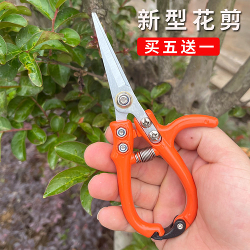 修枝剪子葡萄摘果剪园林果树剪