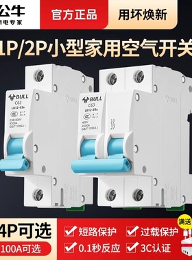 公牛空气开关1P断路器32a安家用40A空调2p63a小型三相电闸空开关