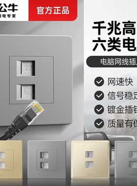 公牛网络电话家用面板二合一