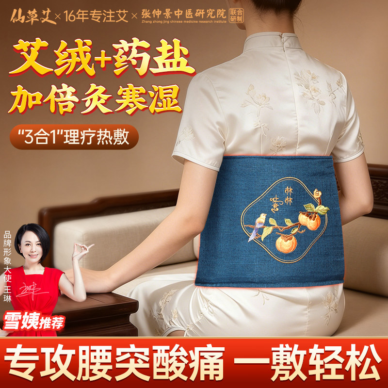 盐袋海盐热敷袋电加热腰部宫寒暖宫腹部肚子护腰带艾草艾灸理疗包