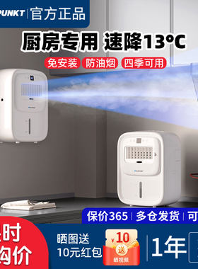 德国蓝宝第二代厨房冰雾扇家用