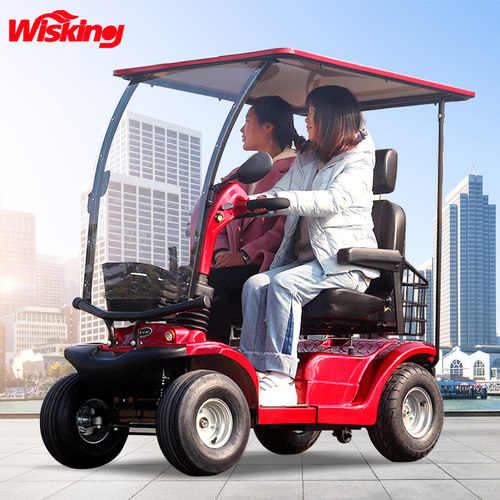 老年代步车双人Wisking/威之群