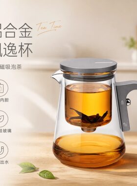 邦田新款2026无杆磁吸飘逸壶飘逸杯泡茶壶玻璃茶水分离杯泡茶神器