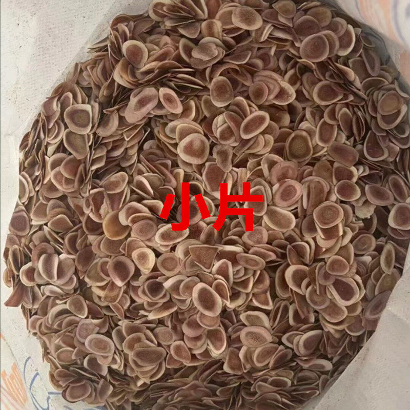 砍角涵血茸片小片新疆鹿茸干角片熬汤泡酒骨片滋补砍茸胶质好药材
