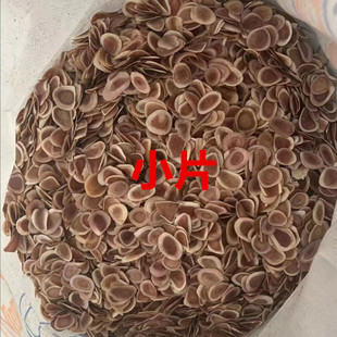 砍角涵血茸片小片新疆鹿茸干角片熬汤泡酒骨片滋补砍茸胶质好药材