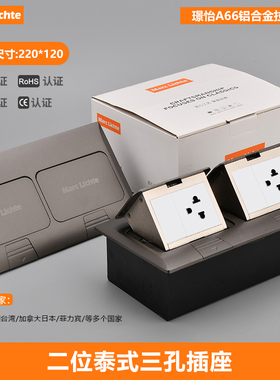 灰色220型双联泰式带阻尼慢弹地插防水美规大三孔16A带USB+双C