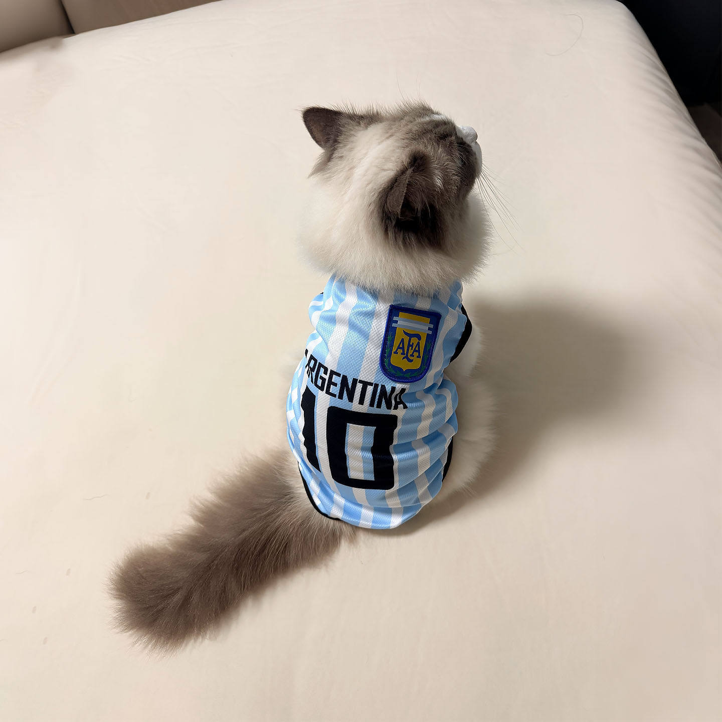 猫咪衣服薄款夏天宠物凉凉衣世界杯球衣透气小中大型狗狗防晒衣