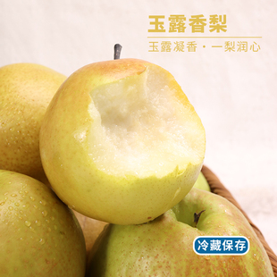 花皮果 山西玉露香梨脆梨多汁香甜酥梨整箱顺丰包邮