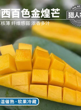 【猎人农场】广西青皮金煌芒当季新鲜百色芒果 热带水果整箱