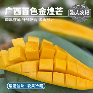 【猎人农场】广西青皮金煌芒当季新鲜百色芒果 热带水果整箱