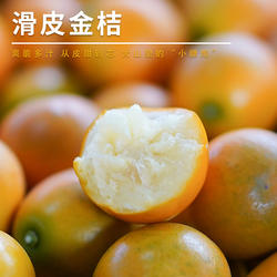 【融安金桔代言人推荐】滑皮金桔当季新鲜纯甜不麻嘴
