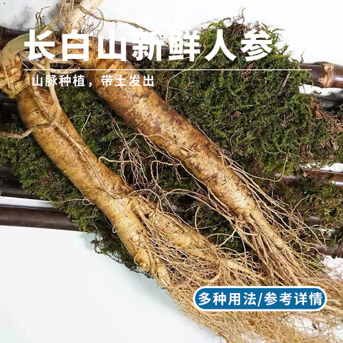 吉林长白山新鲜人参东北特产