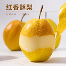 每天水果优选 山西红香酥梨肉嫩多汁甜而不腻整箱顺丰