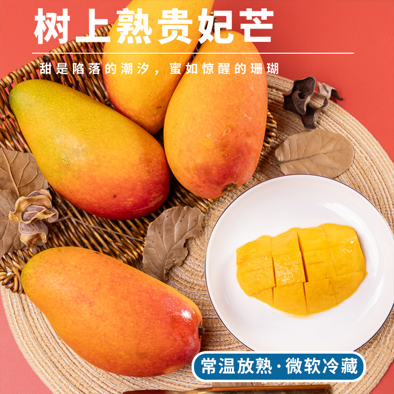 【树上熟】海南贵妃芒 核薄肉厚香甜自然熟芒果 当季新鲜顺丰整箱
