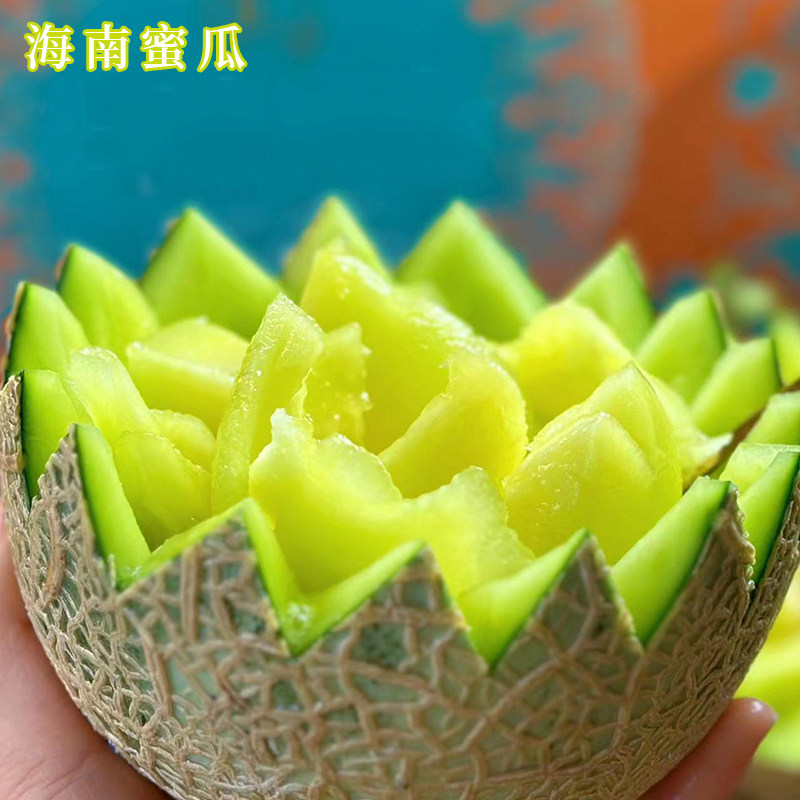 每天水果优选海南牛三网纹蜜瓜当季新鲜哈密瓜软糯甜瓜整箱包邮