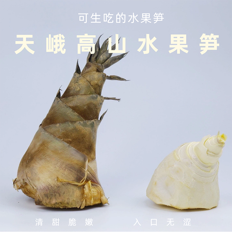 广西天峨高山水果笋 甜龙笋新鲜可生食 脆爽清甜产地现挖现发顺丰
