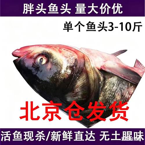 新鲜大鱼头鱼头新鲜胖头花链