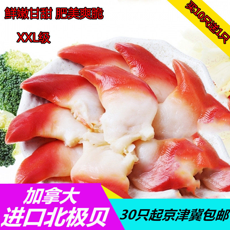 16片 北极贝刺身 鲜活加拿大北极贝切片去内脏新鲜即食ss超大鲜贝