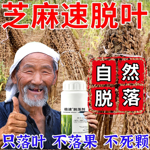 正品芝麻急速落叶不伤株芝麻专用脱叶落叶剂易采收免人工自然脱落