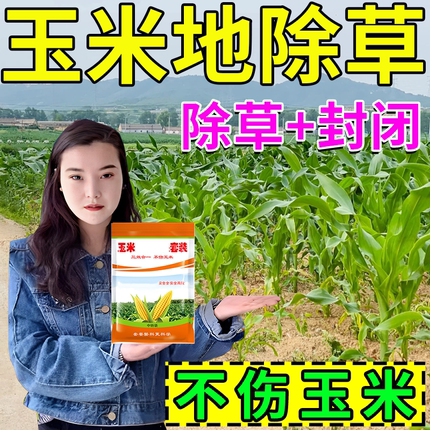 玉米地苗后除草专用剂不伤玉米苞谷玉蜀黍斩草除根老牌子除草正品