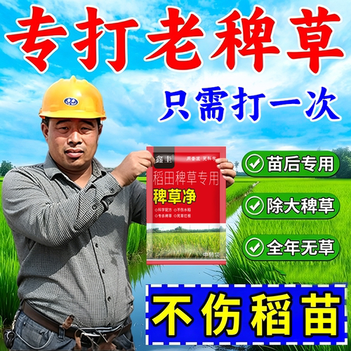 水稻稗草除草剂苗后专用剂不伤苗